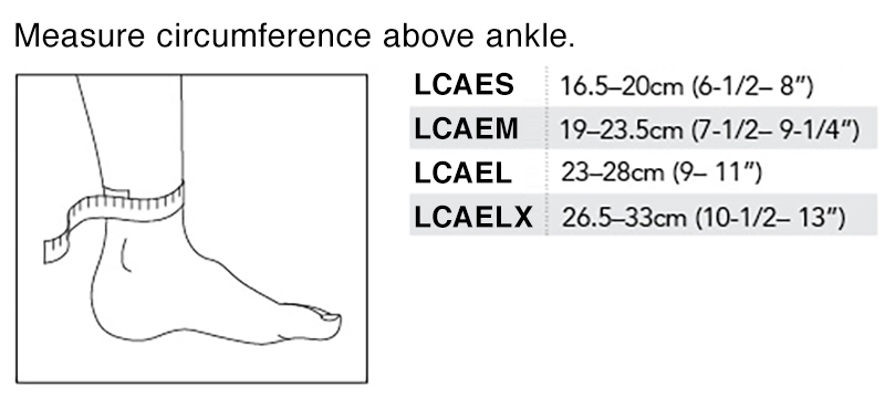 Ankle Chart